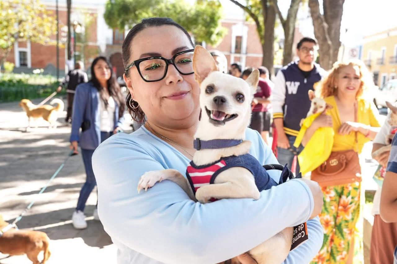 El cuidado de los animales requiere del compromiso del gobierno, de las familias y de la sociedad: Alfonso Sánchez García